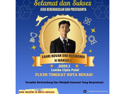 FLS3N 